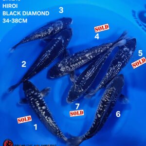 BLACK DIAMOND