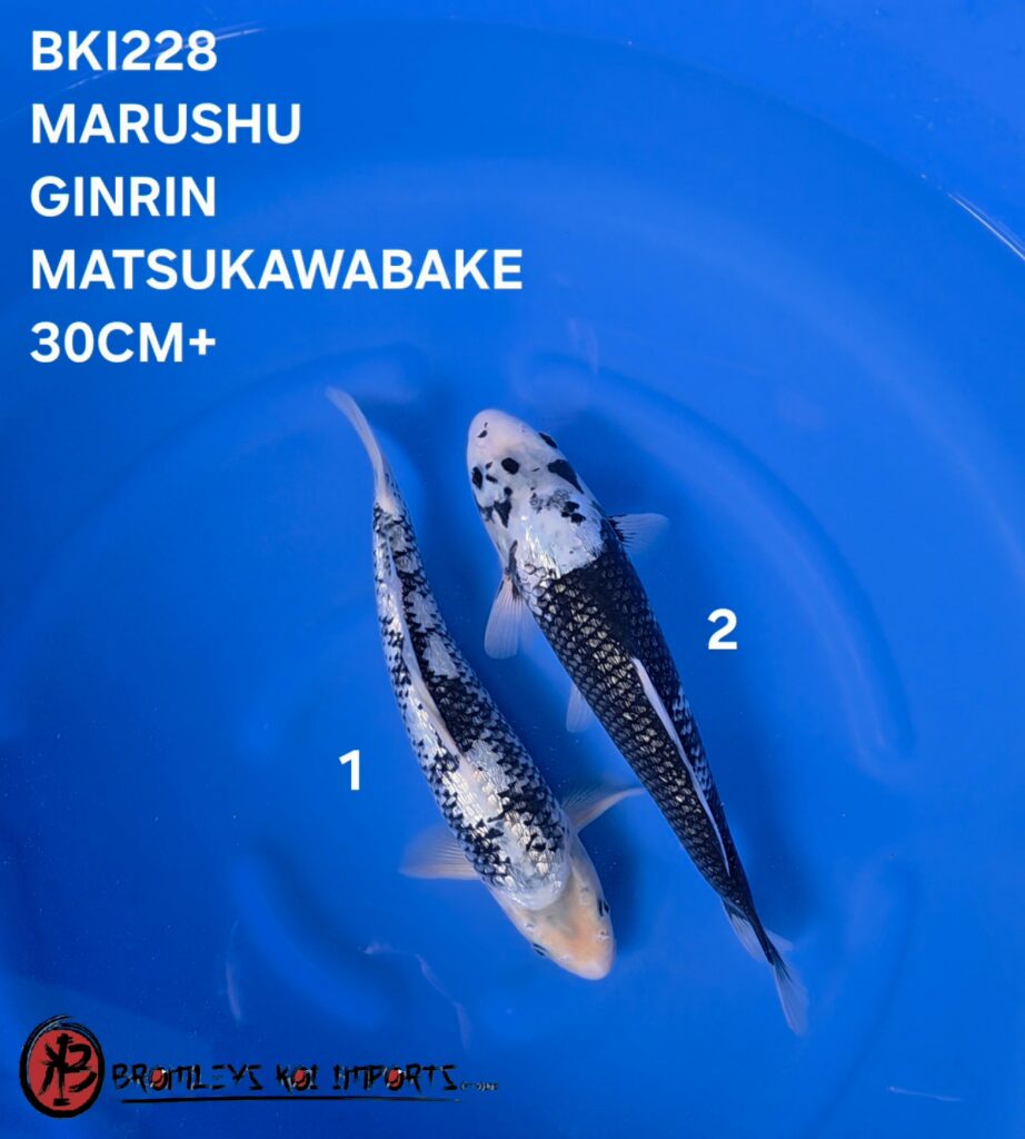 MATSUKAWABAKE