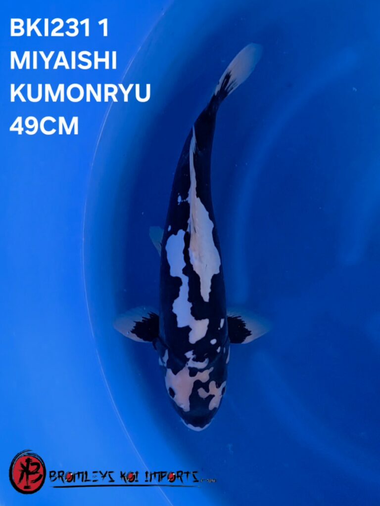 KUMONRYU VHQ, DOITSU SANKE