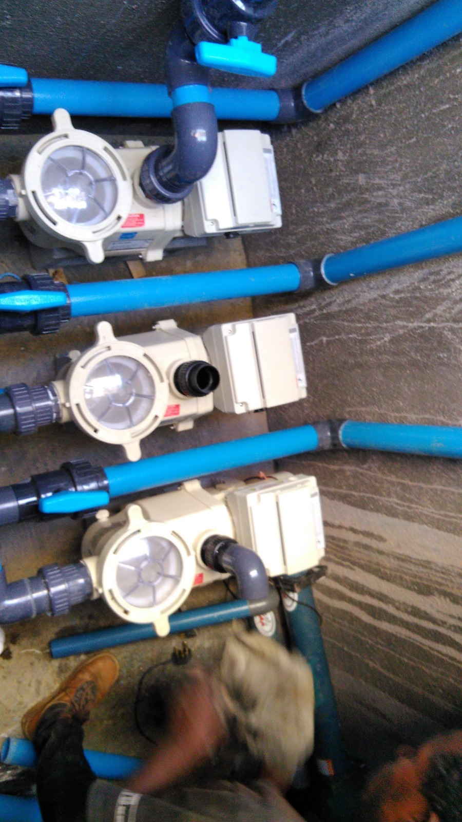 Filtration and Reticulation project 3